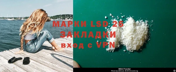 индика Алзамай