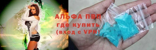 индика Алзамай