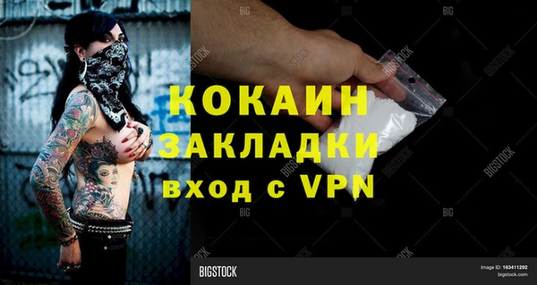 индика Алзамай