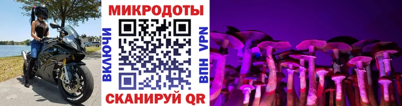 Галлюциногенные грибы Psilocybine cubensis  Раменское 